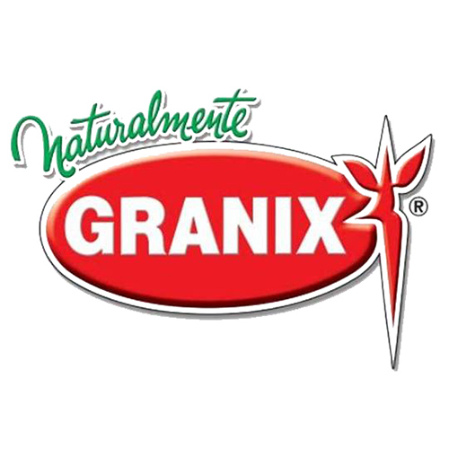 Logo GRANIX